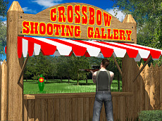 Crossbow Shooting Gallery Game Image