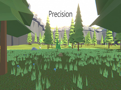 Precision Game Image