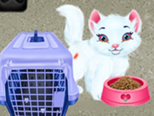 Baby Taylor Pet Care  Save Cute Animals
