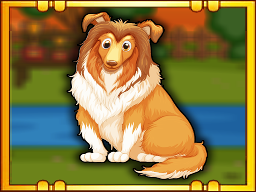 Bernese Mountain Dog Escape Game Image