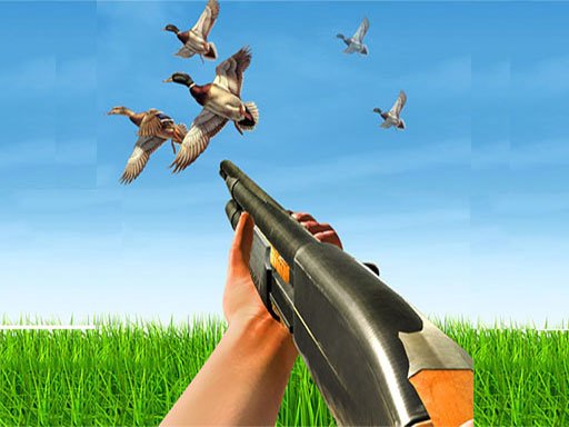 BIRD HUNTING Gun Fire Shooter Game Image