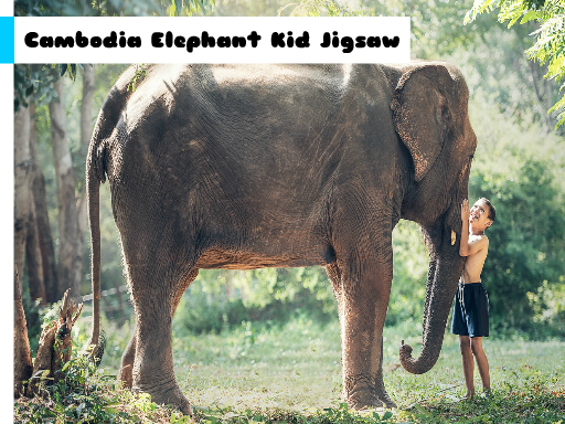 Cambodia Elephant Kid Jigsaw Game Image