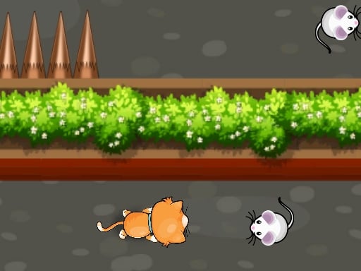 Cat Trap Labyrinth Escape Game Image