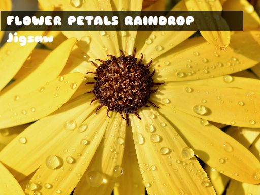Flower Petals Raindrop Jigsaw Game Image