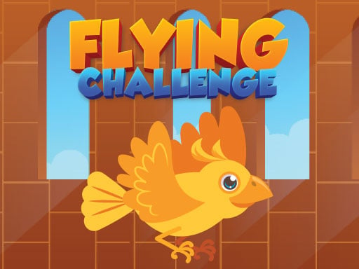Flying Challenge Game Image