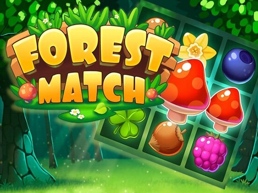 Forest Match Game Image