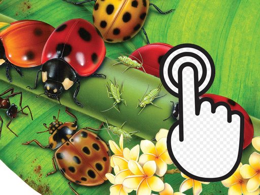 Ladybug Clicker Game Image