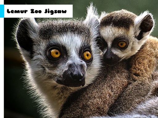 Lemur Zoo Jigsaw Game Image
