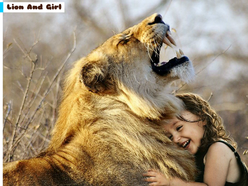 Lion And Girl Jigsaw