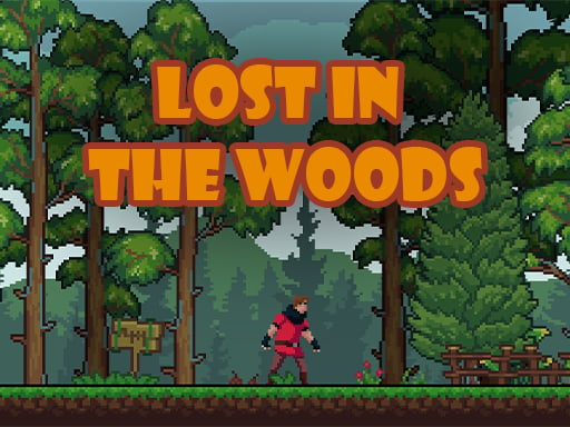 Lost in the Woods Game Image