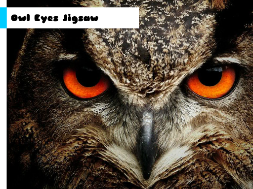 Owl Eyes Jigsaw Game Image