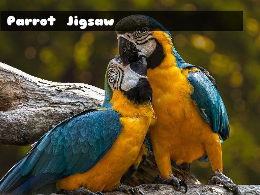 Parrot Jigsaw Game Image