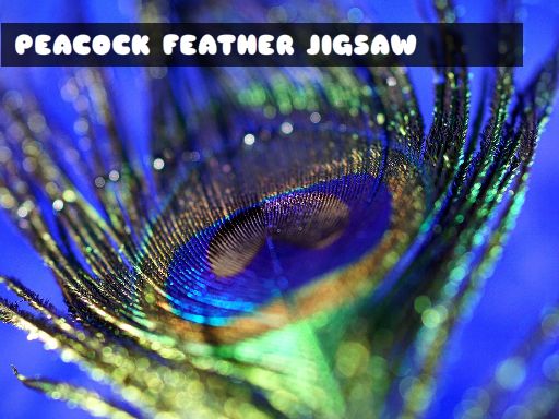 Peacock Feather Jigsaw Game Image