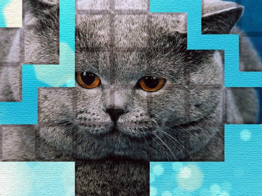 PicPu  Cat Puzzle