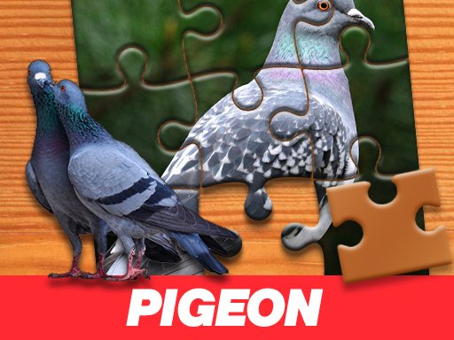 Pigeon Jigsaw Puzzle Game Image