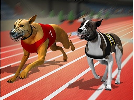 Racing Dog Simulator : Crazy Dog Racing Games Game Image