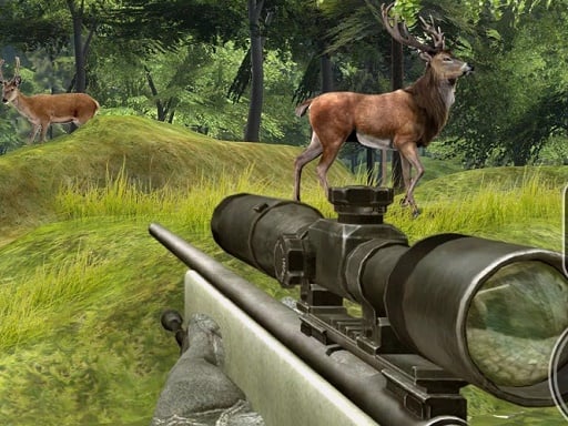 Sniper Hunting Deadly Animal Game Image