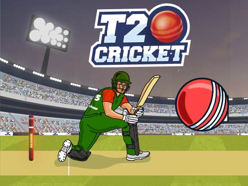 T20 Cricket Game Image