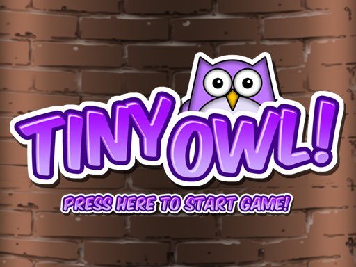 Tiny Owl Game Image