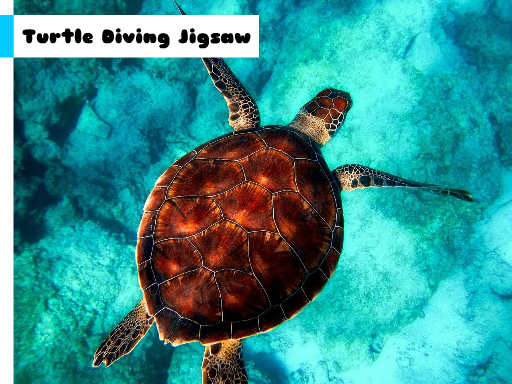 Turtle Diving Jigsaw Game Image
