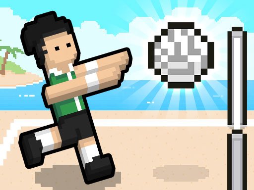 Volley Random Game Image