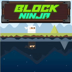 Block Ninja  Game Image