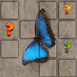 Butterfly Memory Match Game Image