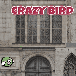 CrazyBird Game Image