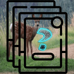 Deer Memory Match Game Image