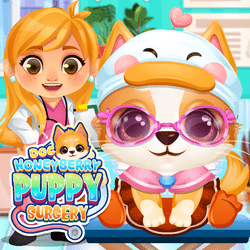 Doc HoneyBerry Puppy Surgery Game Image