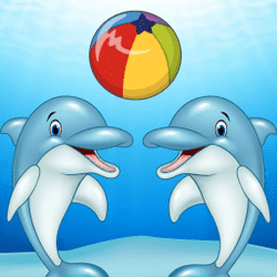 Dolphin Show  Game Image
