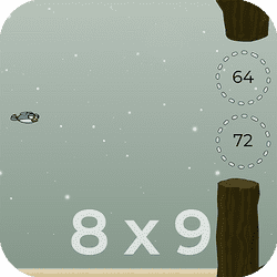Equations Flapping Game Image