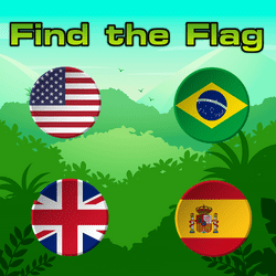 Find the Flag Game Image