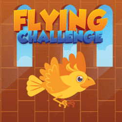 Flying Challenge Game Image