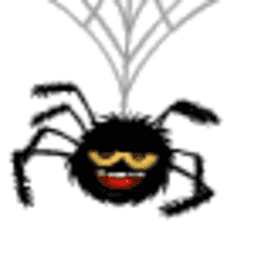 Funny Spider Game Image