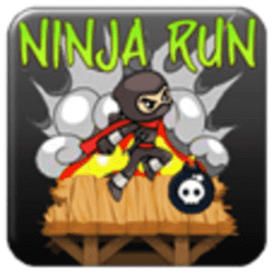 Ninja Run Game Image