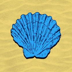 Shell Collector Game Image