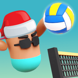 Volley Boys Game Image