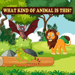 What Kind Of Animal Is This Game Image