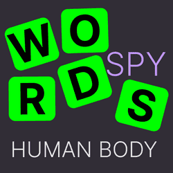 Words Spy Human body Game Image