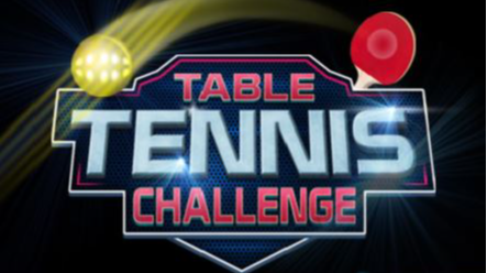 Table Tennis Challenge Game Image