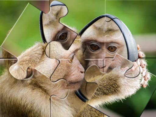 Chimpanzee Jigsaw Game Image