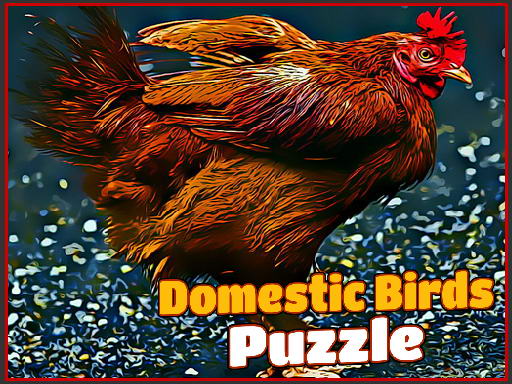 Domestic Birds Puzzle Game Image