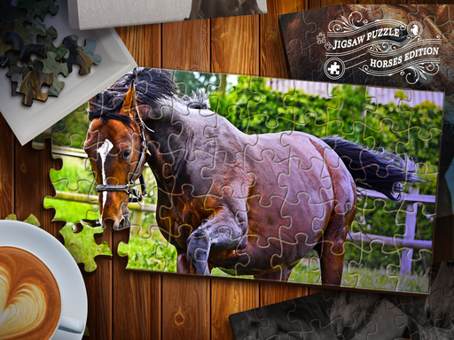 Jigsaw Puzzle Horses Edition Game Image