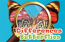 Play Disc Duel Gumball  Free Online Games. KidzSearch.com