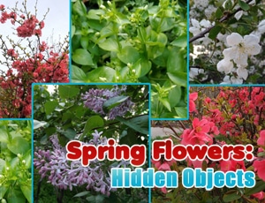 Spring Flowers: Hidden Objects