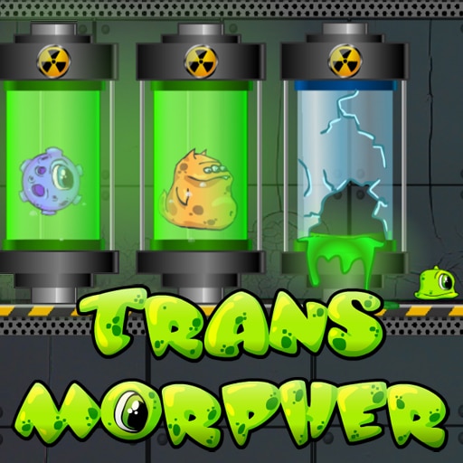 Transmorpher 1